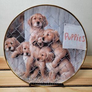 Franklin Mint A.S.P.C.A. Ltd Ed Fine Porcelain Collector's Plate "Adopt A Puppy"